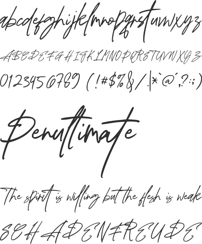 Palosty Signature font preview