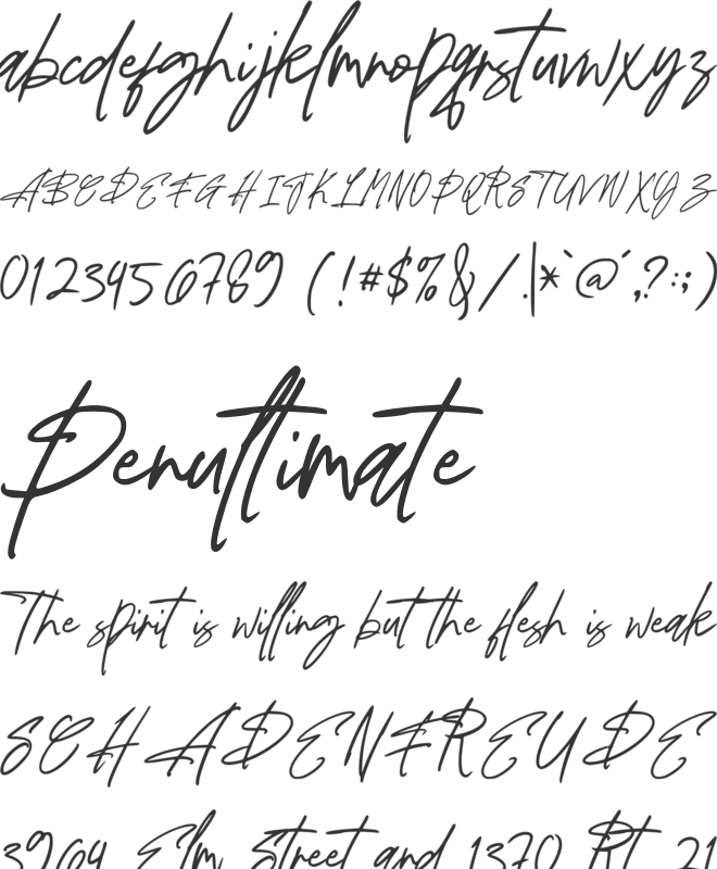 Palosty Signature font preview