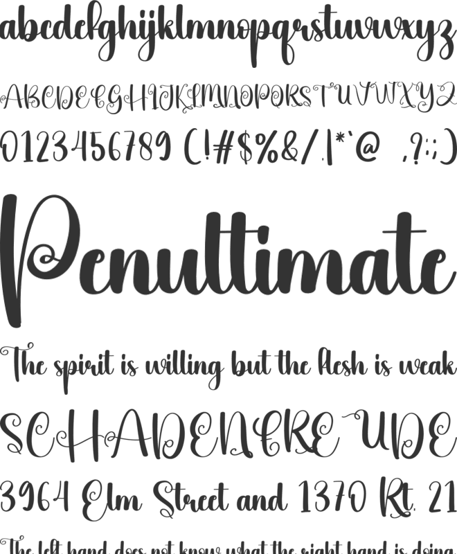 Vegan font preview