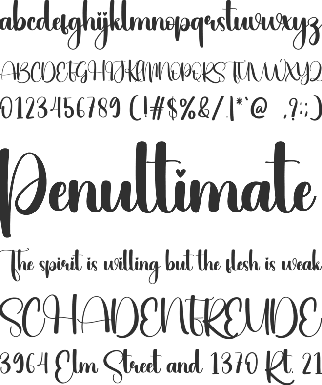 Ruddy Face font preview