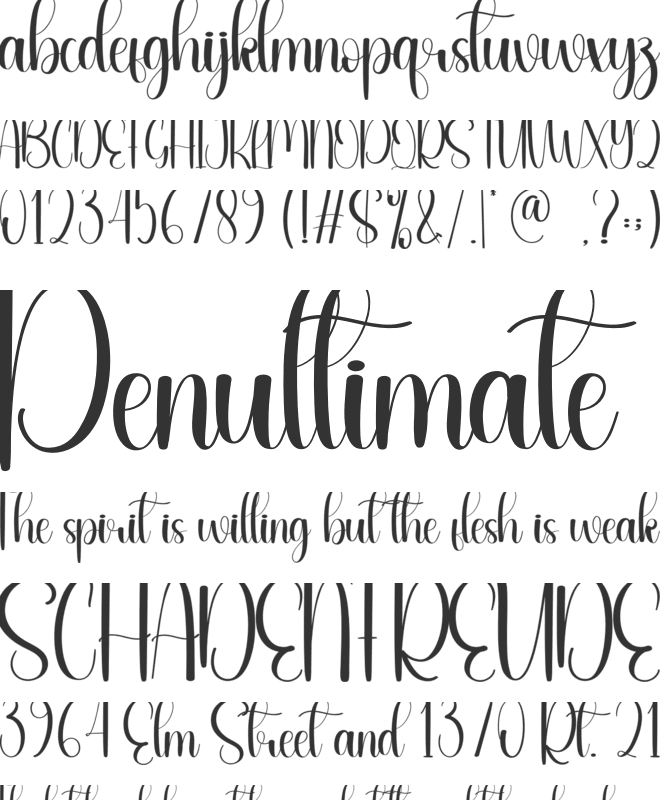 Shindy font preview