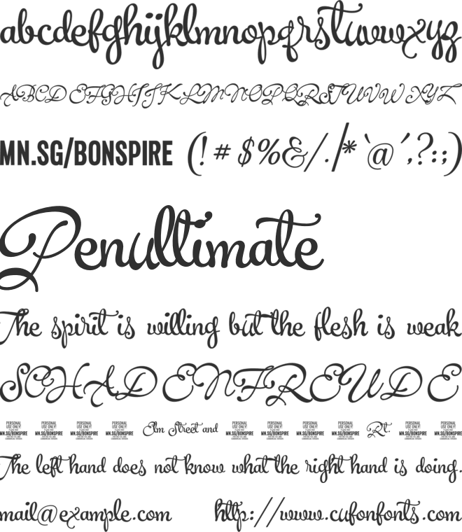 Bonspire Script PERSONAL USE font preview