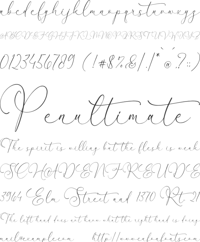 Fanttor Howery Script font preview