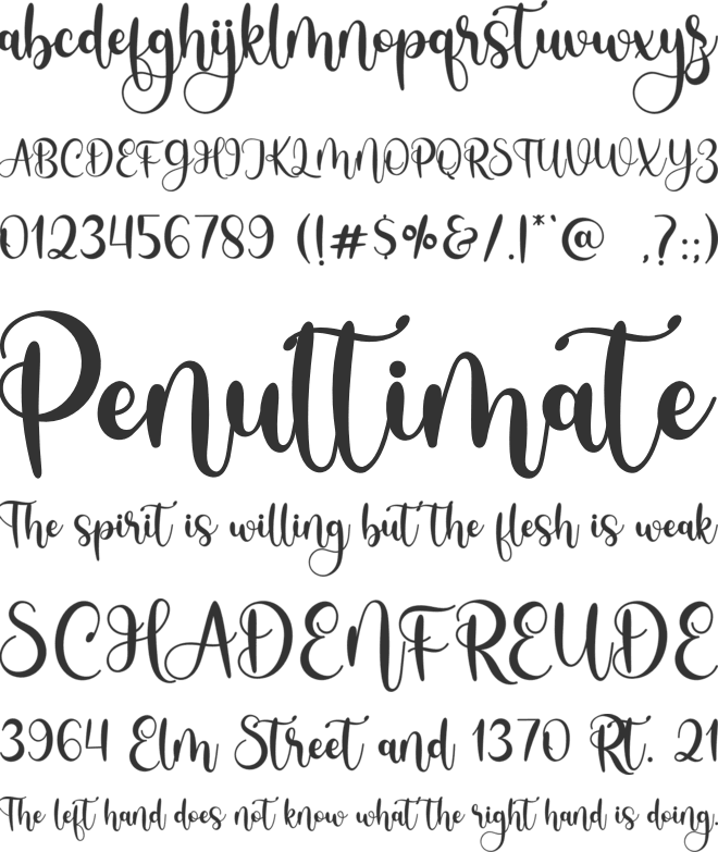 Blush Night font preview