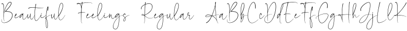Beautiful Feelings Regular font