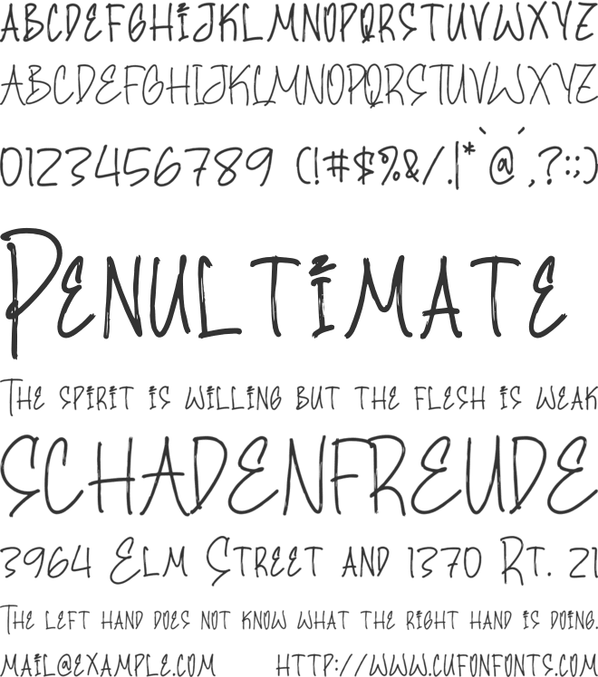 Blagier Swallow font preview
