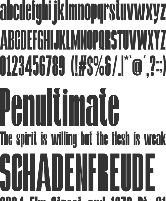 Kontes Compressed font preview