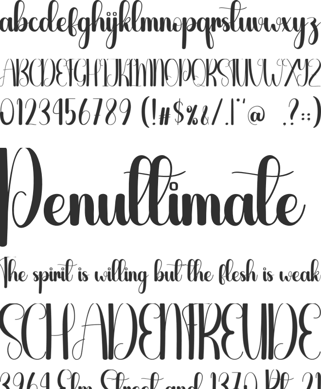 Option font preview