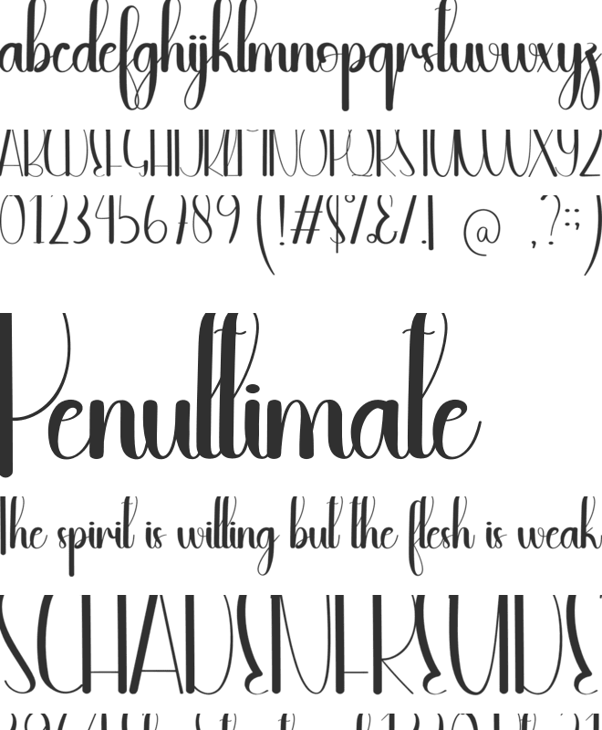 Fiveminutes font preview