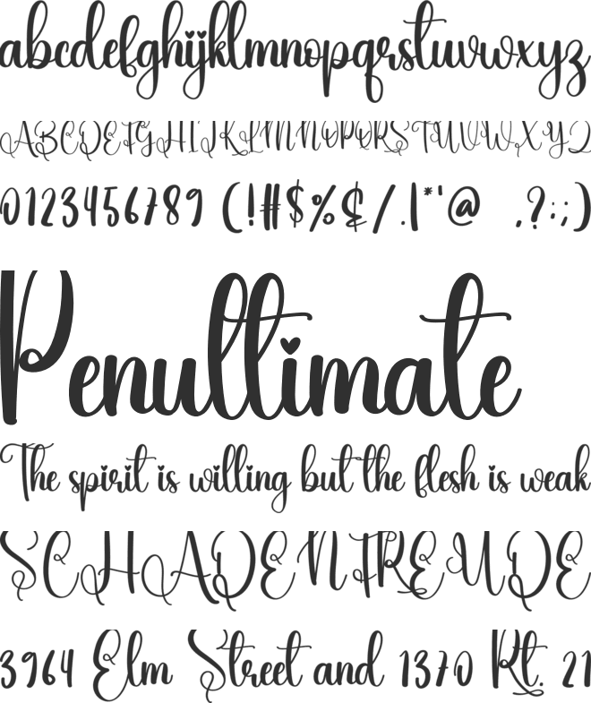 Bulky font preview
