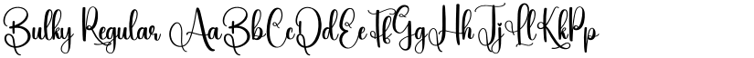 Bulky Regular font
