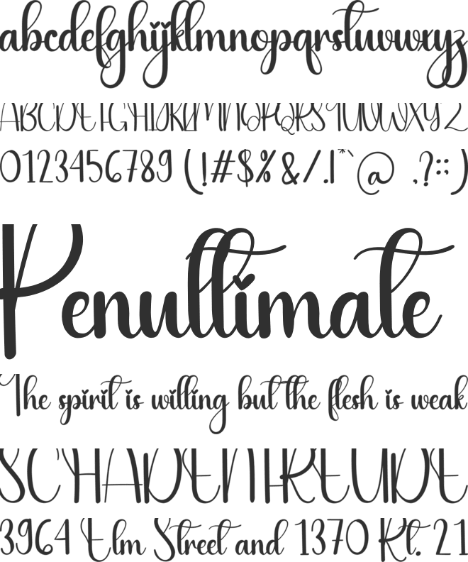 Tomorrow font preview