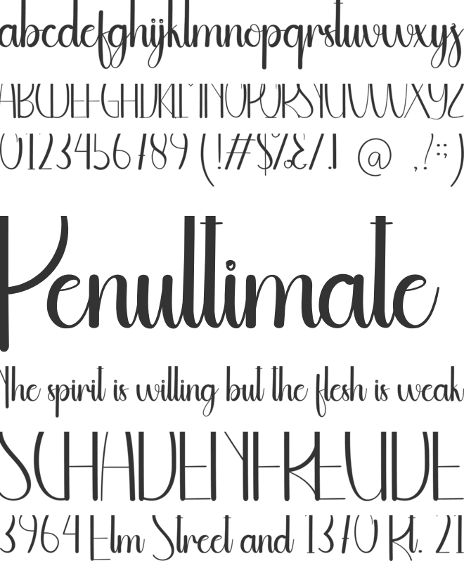 Yellowday font preview