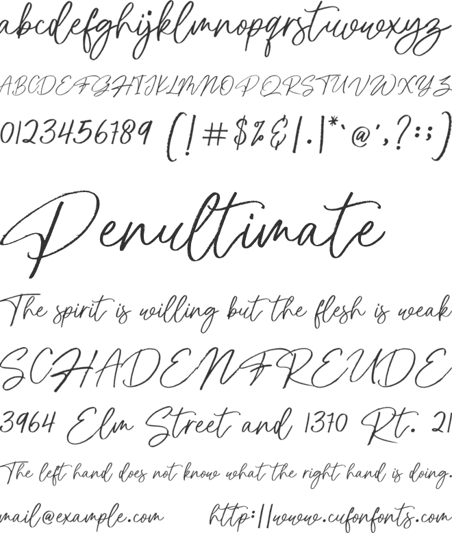 Protan Sheyom font preview