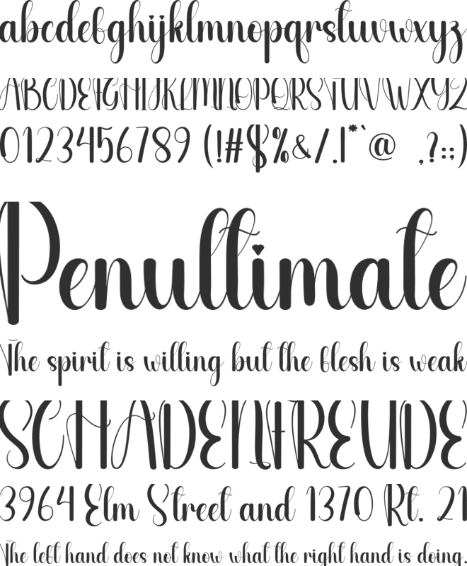 Sandy Chubby font preview