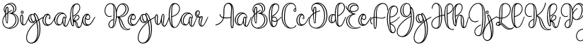 Bigcake Regular font
