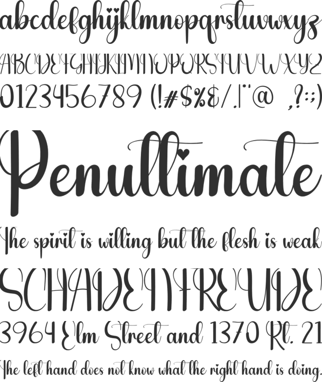 The Chubby font preview