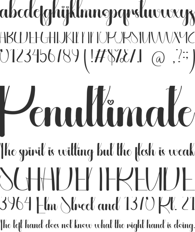 Sample font preview