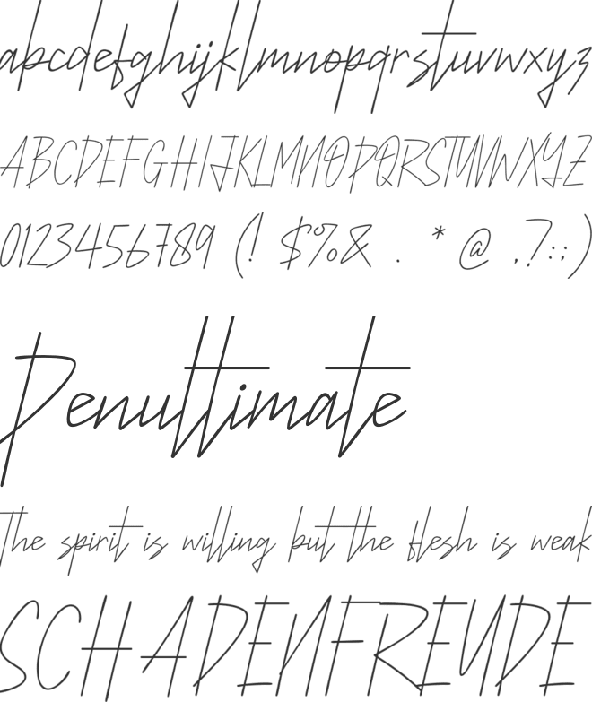 Maletta font preview