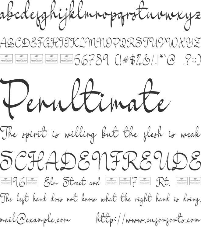 Bachelorette font preview