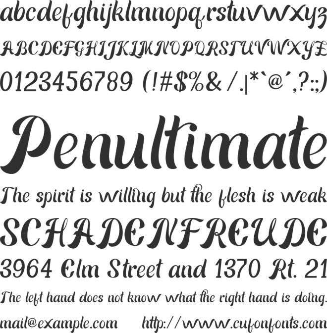 Beach Holiday font preview