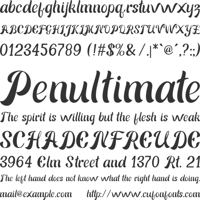 Beach Holiday font preview