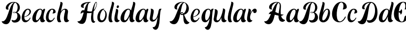 Beach Holiday Regular font