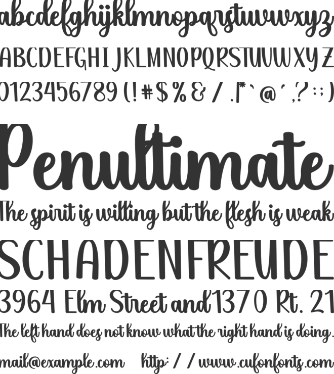 Salsabela font preview
