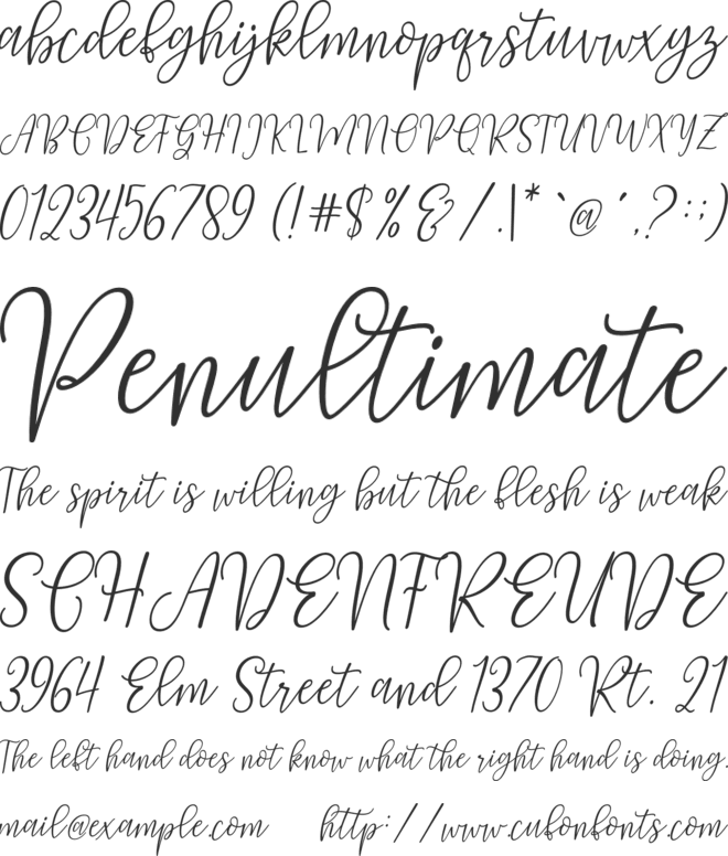 Molisha Script font preview