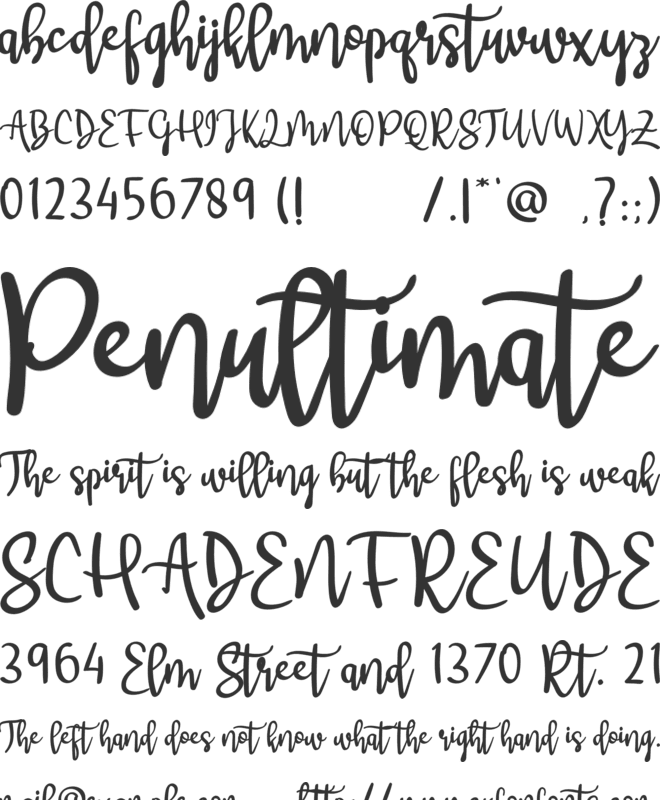 Shark Blindate font preview