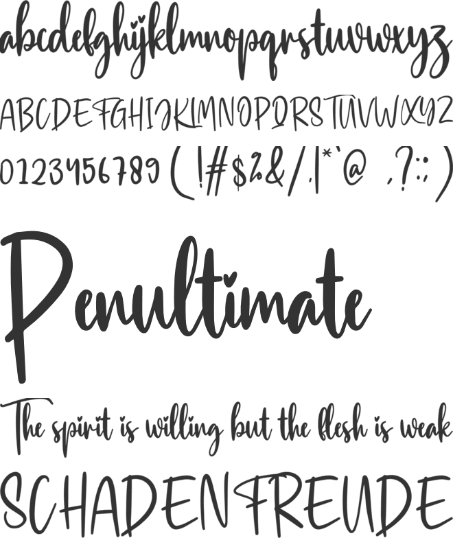 Hairstyle font preview