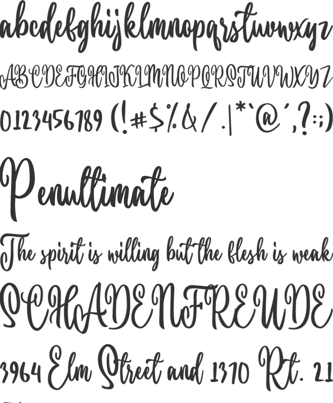 Pletty Book font preview