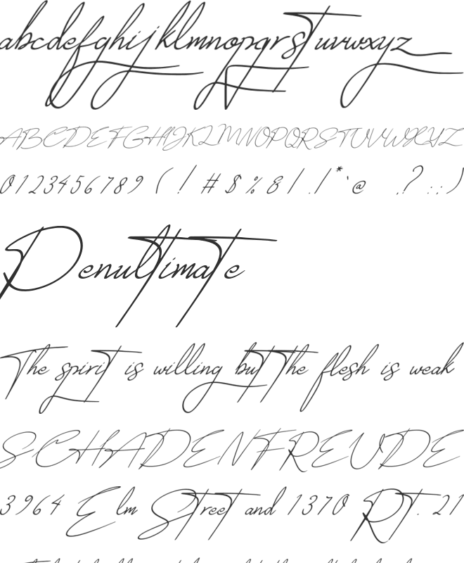 Mikaila Signature font preview