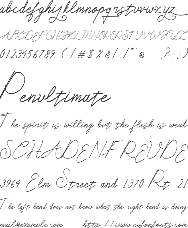 Agustus Signature font preview