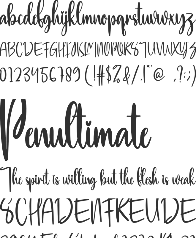 Lifestyle font preview