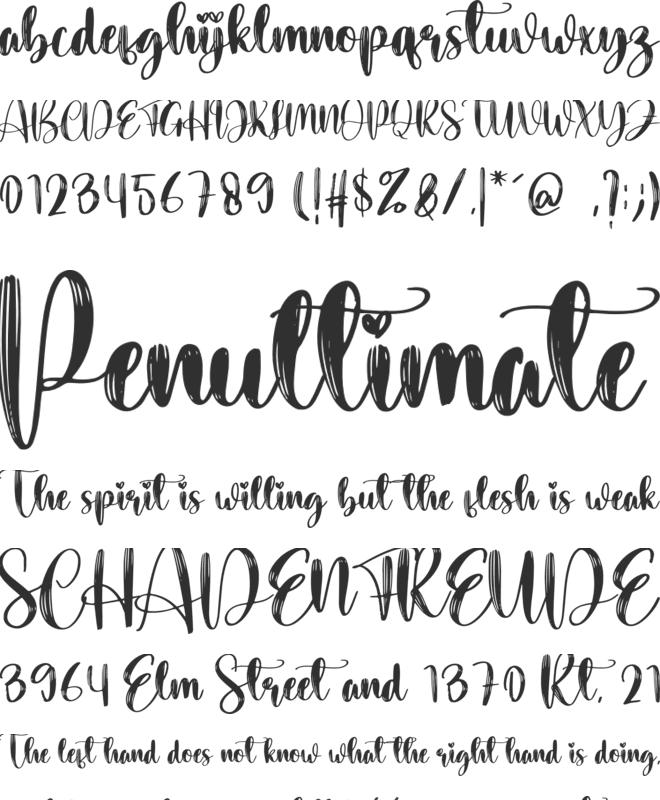 Shimmy font preview