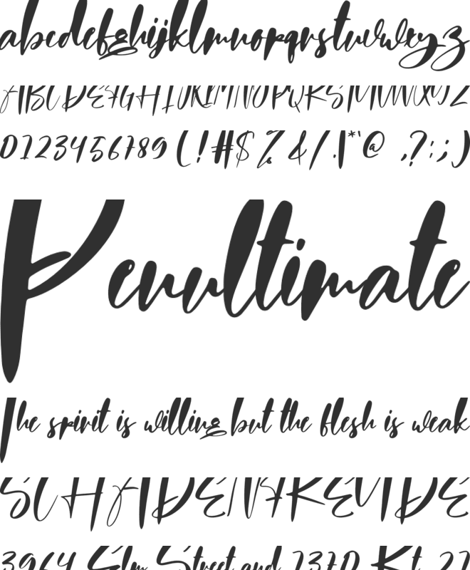 Photographer font preview