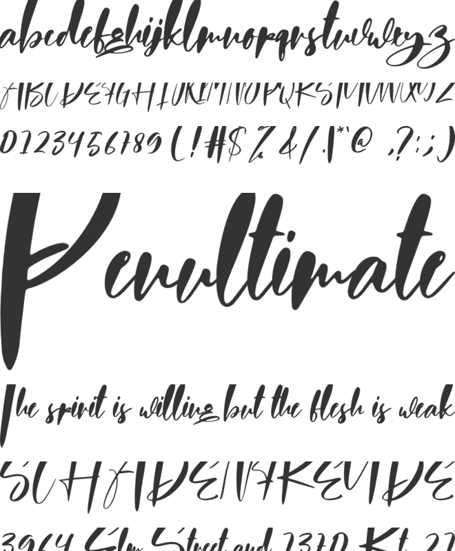 Photographer font preview