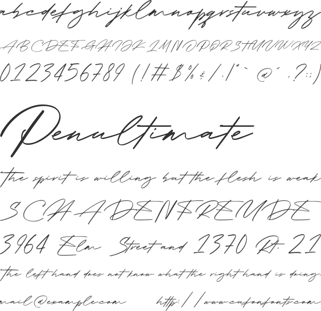 Signature Present font preview