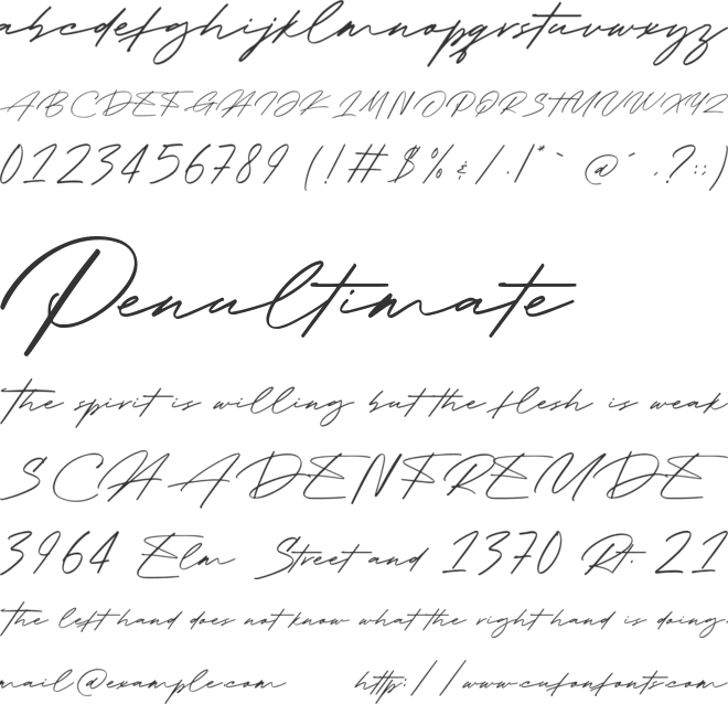 Signature Present font preview