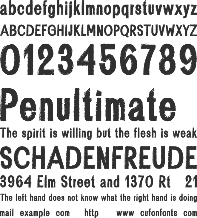 Plessis font preview