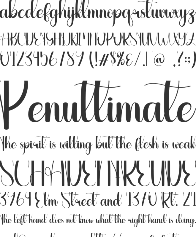 Audience font preview