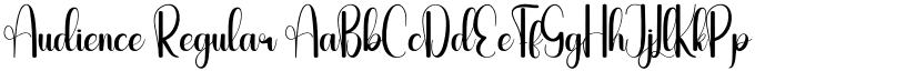 Audience Regular font