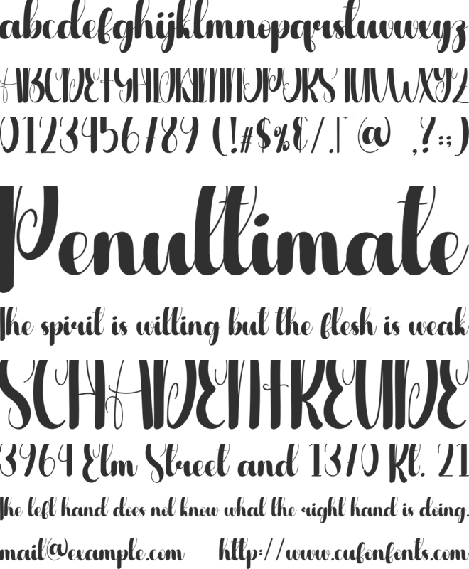 Wide font preview