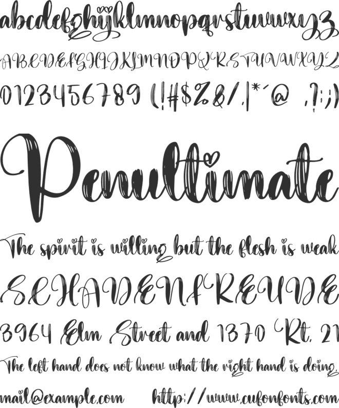 Younger font preview