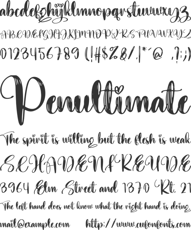 Younger font preview
