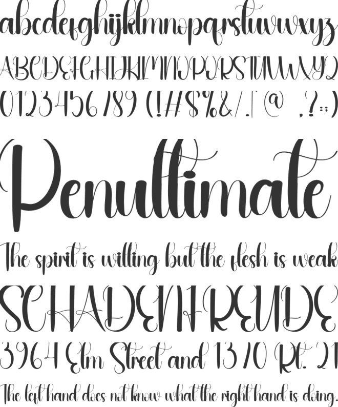 Congratulations font preview