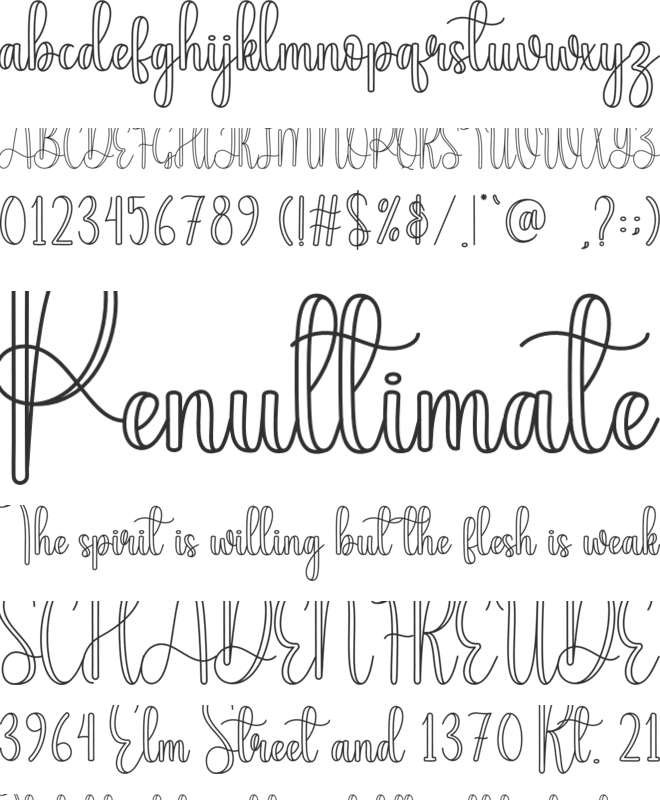 Disability font preview