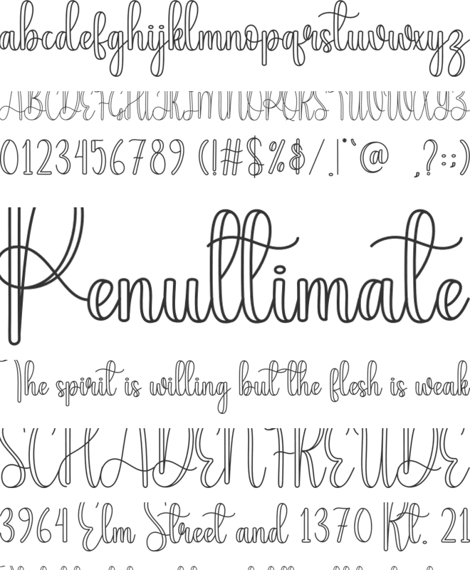 Disability font preview