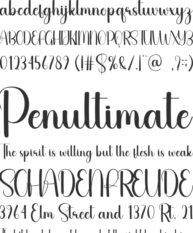 Check font preview